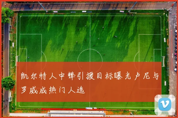 凯尔特人中锋引援目标曝光卢尼与罗威成热门人选
